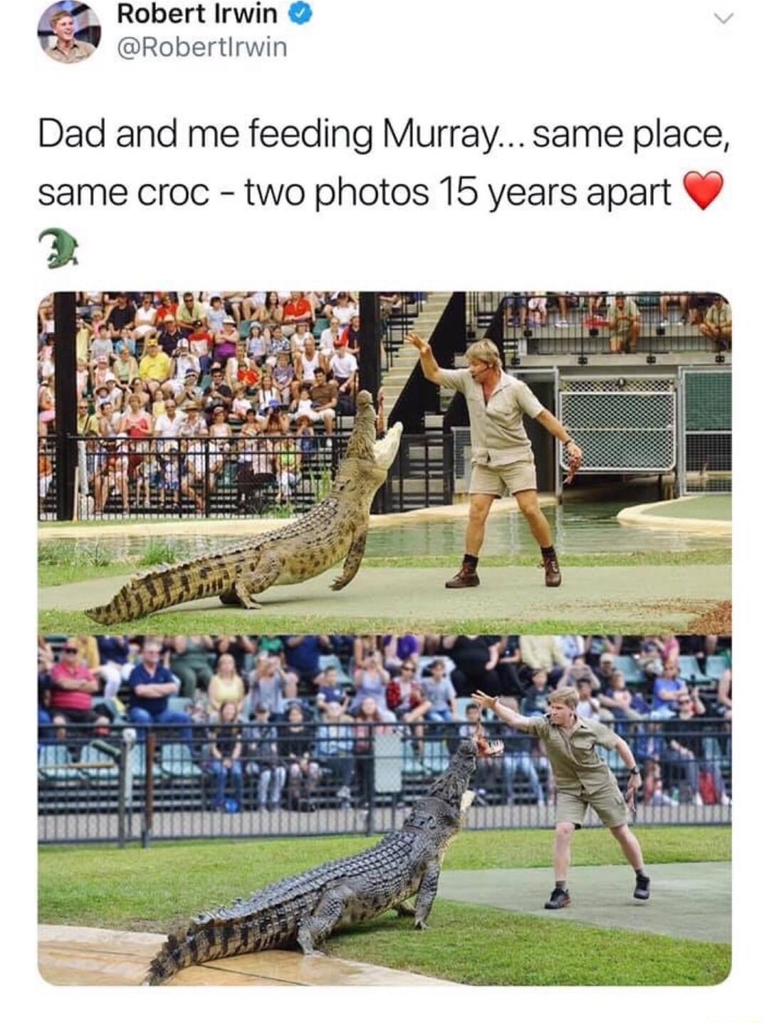 Robert Irwin Robertlrwin Dad and me feeding Murray same place same croc two photos 15 years apart