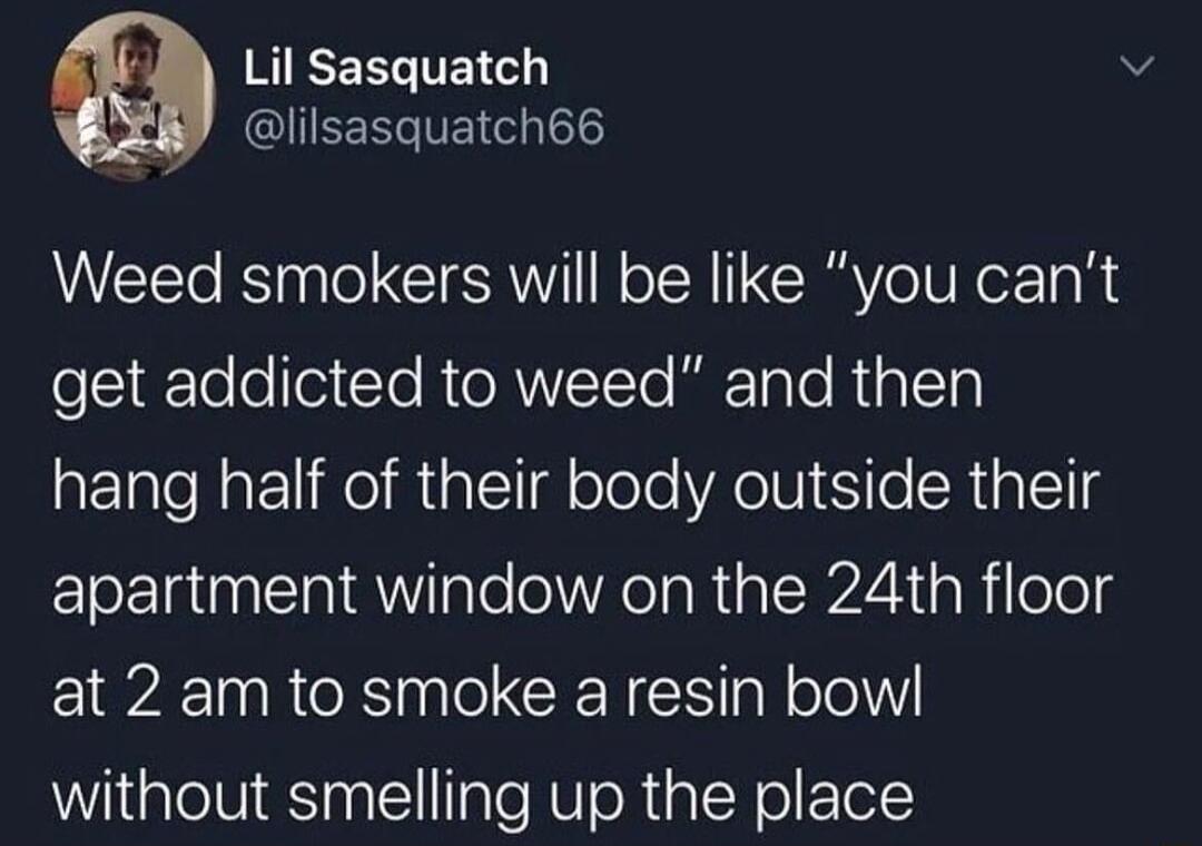 RIEEELTEG GIIEERIEI 6 Weed smokers will be like you cant get addicted to weed and then hang half of their body outside their apartment window on the 24th floor at 2 am to smoke a resin bow without smelling up the place