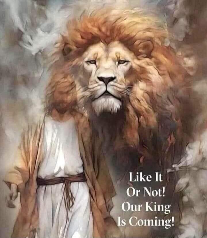 Like It Or Not! Our King Is Coming!