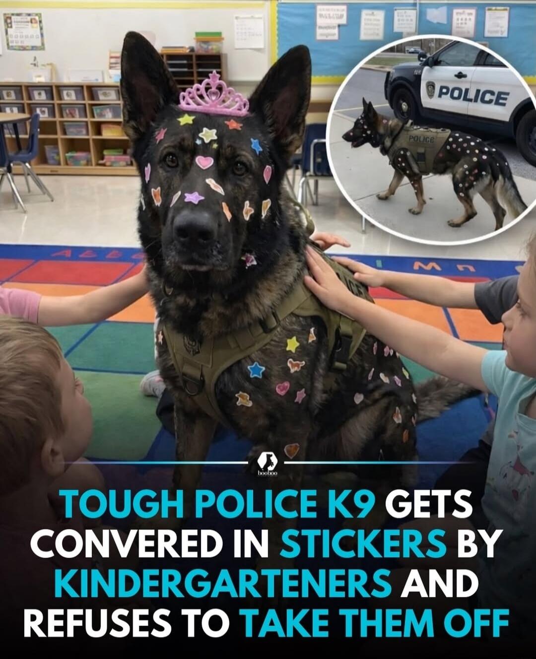 TOUGH POLICE K9 GETS CONVERED IN STICKERS BY KINDERGARTENERS AND REFUSES TO TAKE THEM OFF