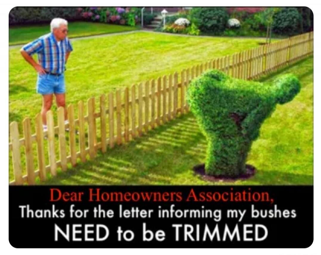 Dear Homeowners Association, Thanks for the letter informing my bushes NEED to be TRIMMED