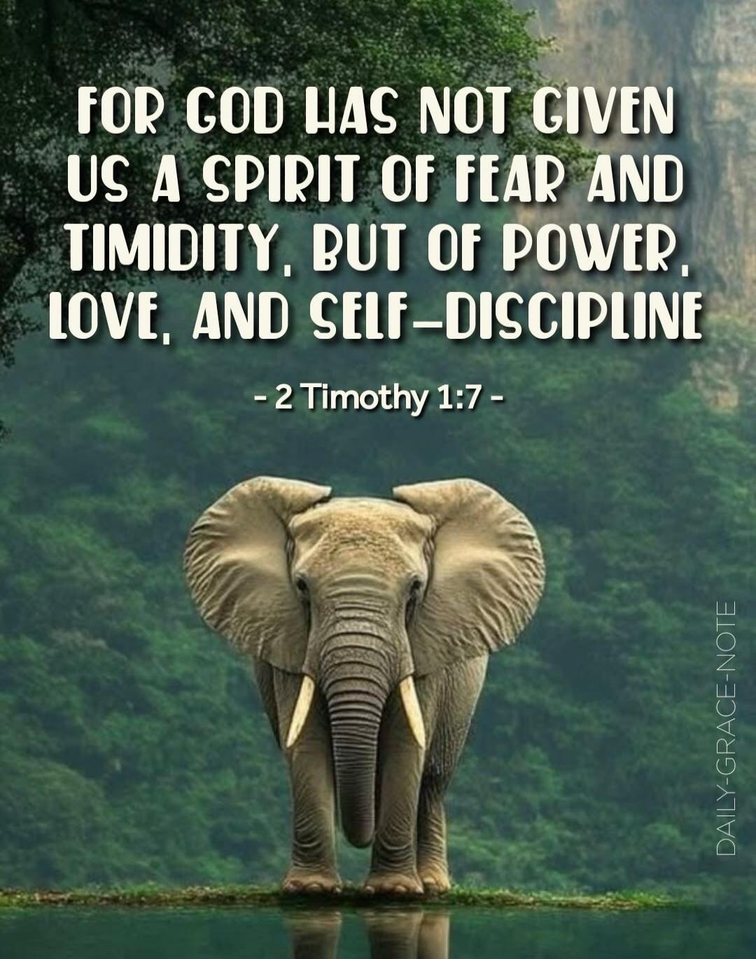 FOR GOD HAS NOT GIVEN US A SPIRIT OF FEAR AND TIMIDITY, BUT OF POWER, LOVE, AND SELF-DISCIPLINE - 2 Timothy 1:7 - DAILY-GRACE-NOTE
