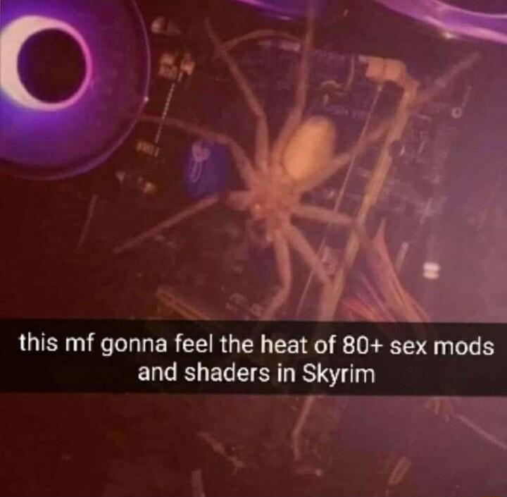 e ol IS this mf gonna feel the heat of 80 sex mods and shaders in Skyrim