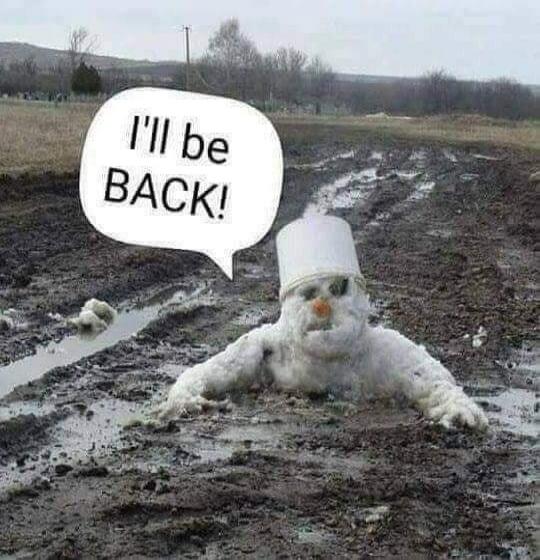 I'll be BACK!
