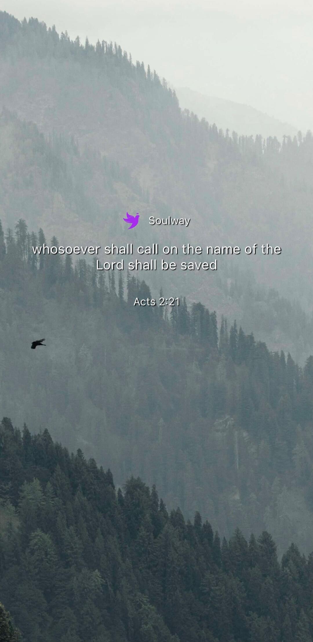 Soulway whosoever shall call on the name of the Lord shall be saved Acts 2:21
