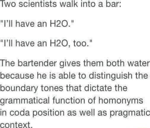 Iwo scientists walk into a bar Ill have an H20 Ill have an H20 too The bartender gives them both water because he is able to distinguish the boundary tones that dictate the grammatical function of homonyms in coda position as well as pragmatic context