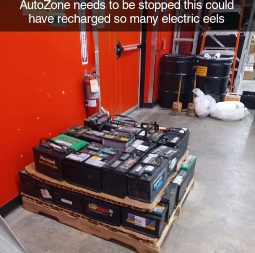 AutoZone needs to be stopped this could have recharged so many electric eels