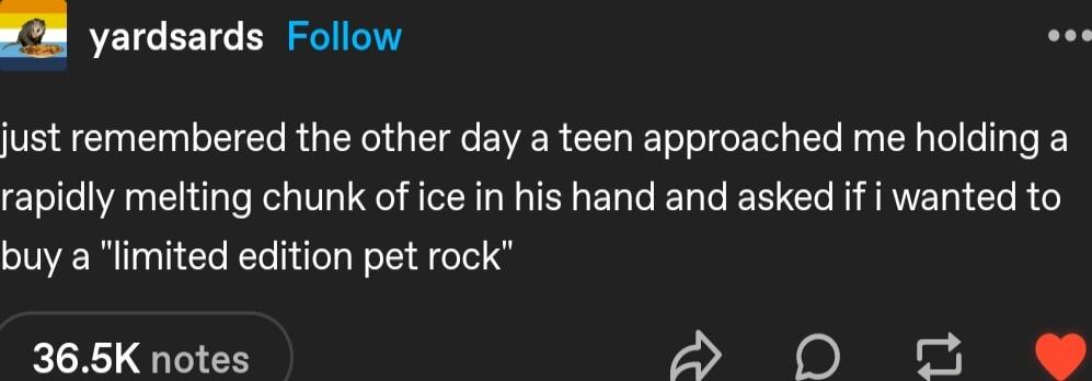 R yardsards Follow just remembered the other day a teen approached me holding a rapidly mefting chunk of ice in his hand and asked if i wanted to buy a limited edition pet rock 365K notes A 0 o e