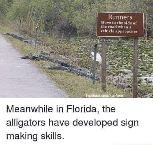Rmnwsry Meanwhile in Florida the alligators have developed sign making skills
