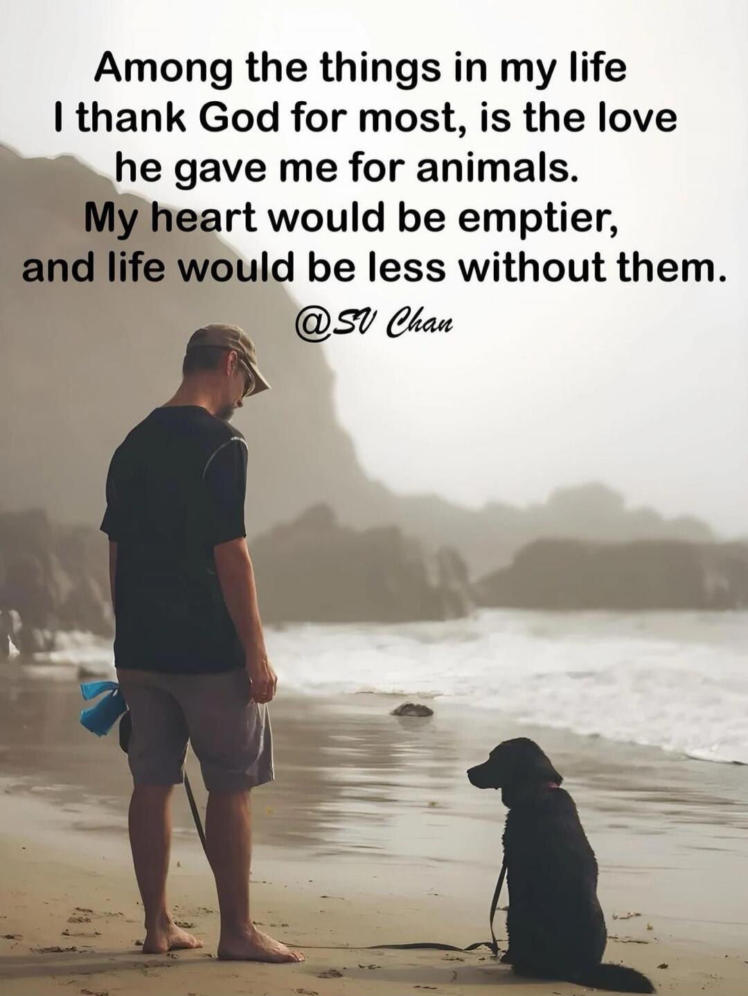 Among the things in my life I thank God for most, is the love he gave me for animals. My heart would be emptier, and life would be less without them. @SV Chan