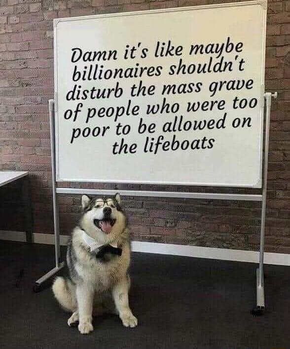 Damn its like maybe billionaires shouldnt disturb the mass grave of people who were too poor to be allowed on the lifeboats