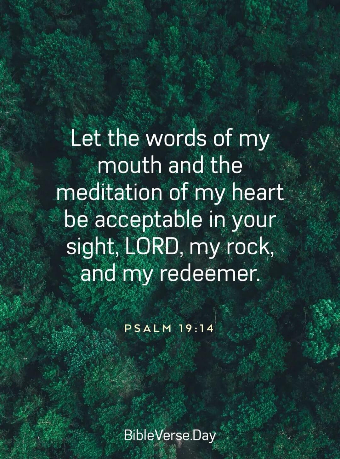 Let the words of my mouth and the meditation of my heart be acceptable in your sight, LORD, my rock, and my redeemer. PSALM 19:14 BibleVerse.Day