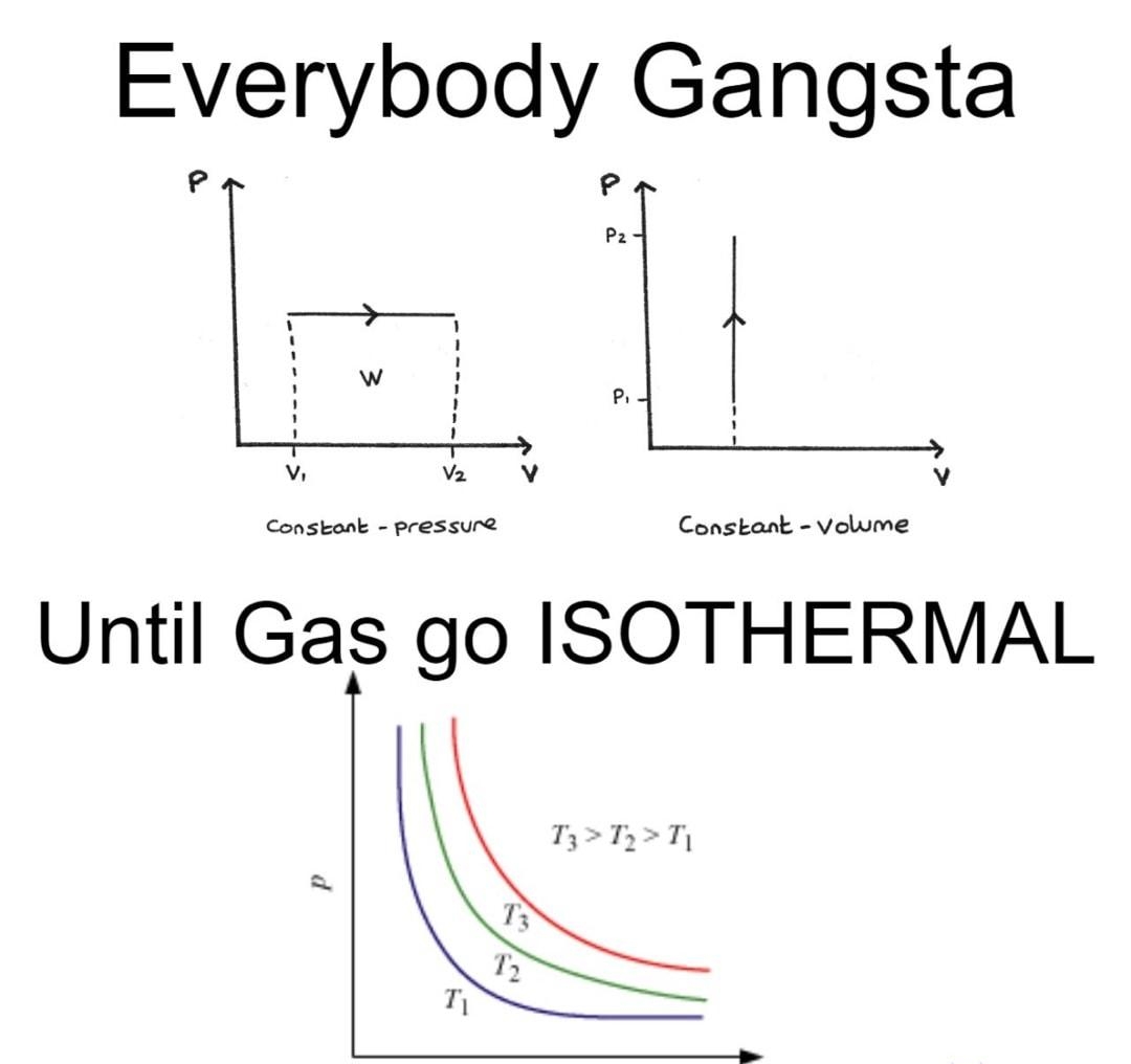 Everybody Gangsta