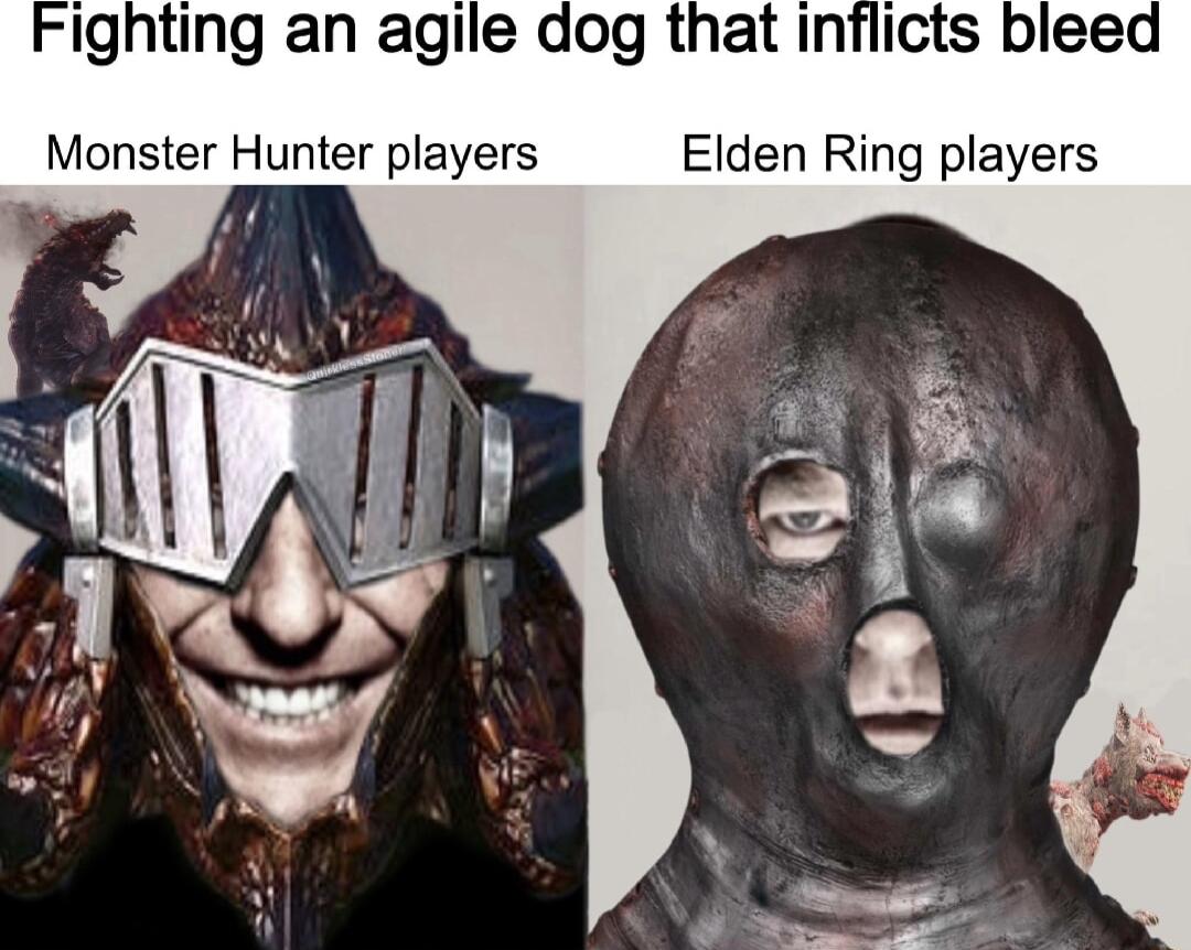 ighting an agile dog that inflicts bleed Monster Hunter players Elden Ring players