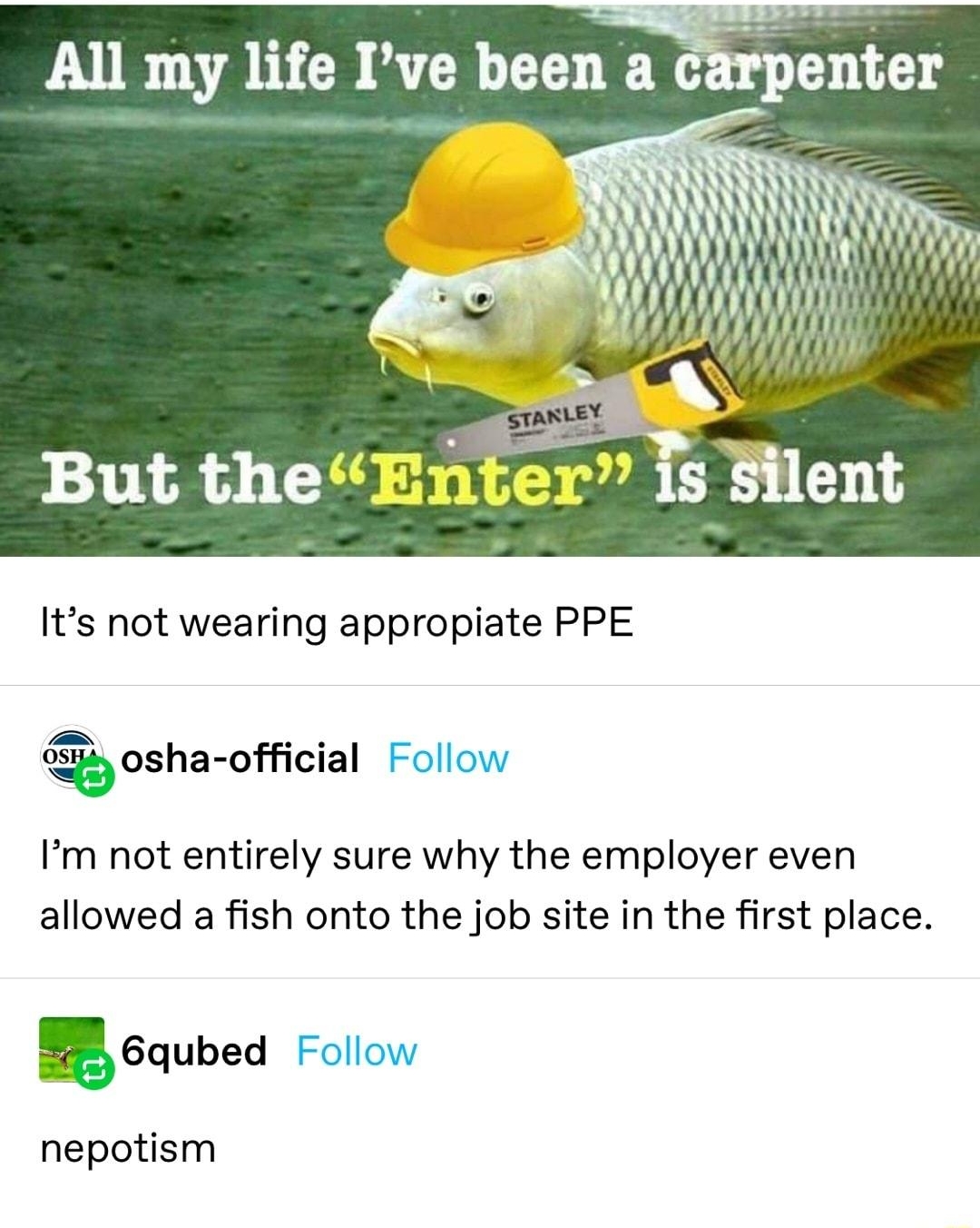 arpenter P ranLEY But theEnter Is Silent Its not wearing appropiate PPE Z N o Qgosha ofcual Follow Im not entirely sure why the employer even allowed a fish onto the job site in the first place 56qubed Follow nepotism