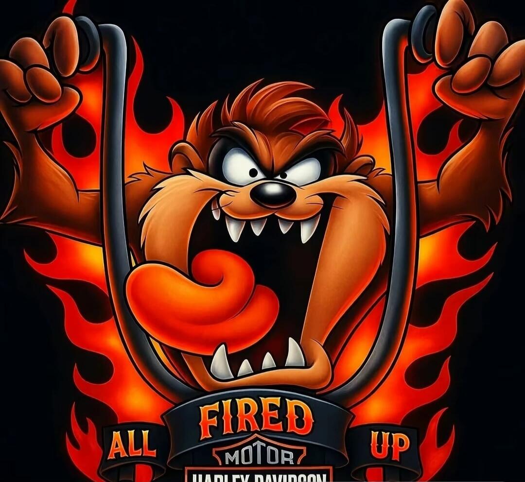 ALL FIRED UP MOTOR HARLEY-DAVIDSON