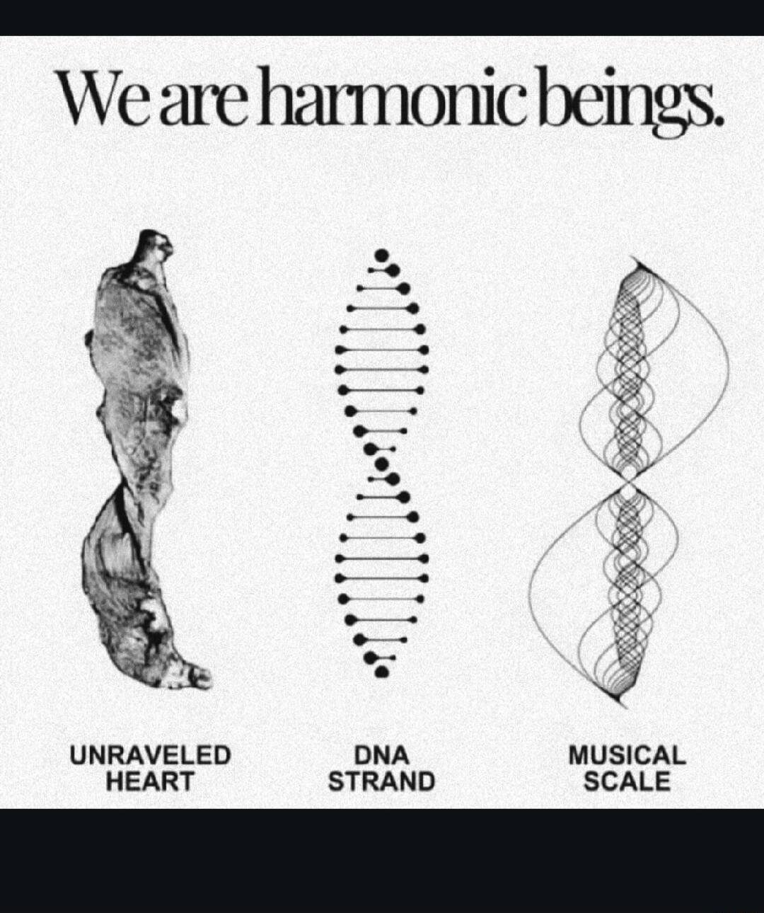 We are harmonic beings UNRAVELED DNA HEART STRAND SCALE