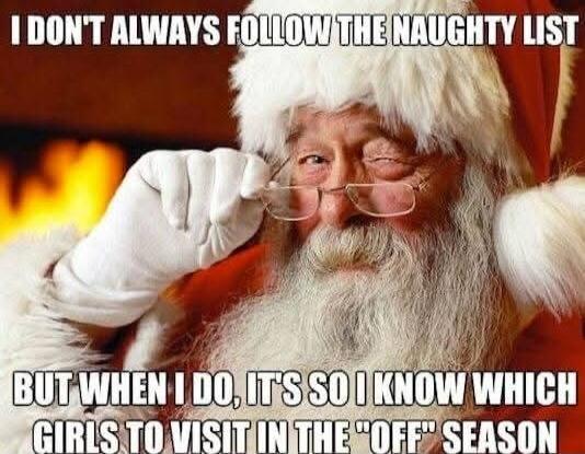 I DON'T ALWAYS FOLLOW THE NAUGHTY LIST BUT WHEN I DO, IT'S SO I KNOW WHICH GIRLS TO VISIT IN THE OFF SEASON