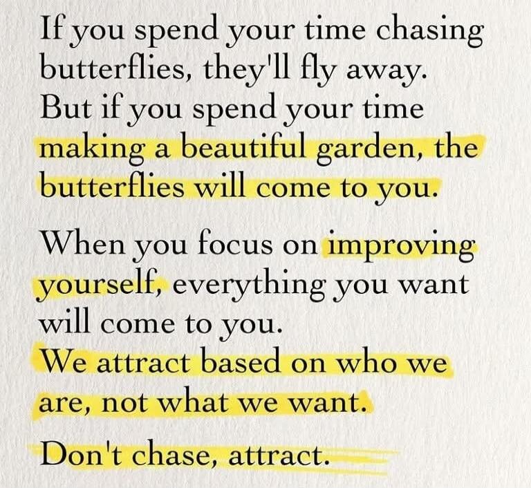 If you spend your time chasing butterflies, they'll fly away. But if you spend your time making a beautiful garden, the butterflies will come to you. When you focus on improving yourself, everything you want will come to you. We attract based on who we are, not what we want. Don't chase, attract.