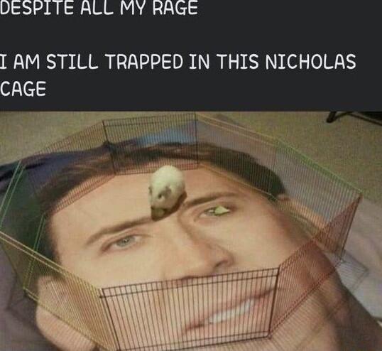 UESPLTE ALL MY RAGE TR O TR N SR N ol o HN olelS
