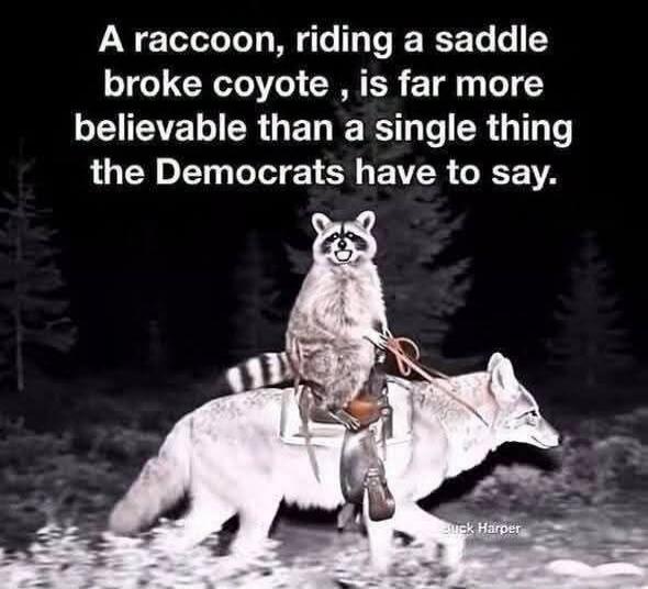 A raccoon, riding a saddle broke coyote, is far more believable than a single thing the Democrats have to say.