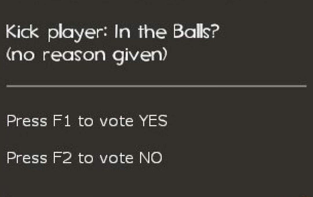 Kick player In the Balls no reason given Press F1 to vote YES Press F2 to vote NO