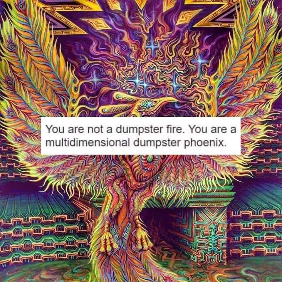 You are not a dumpster fire You are a S multidimensional dumpster phoenix