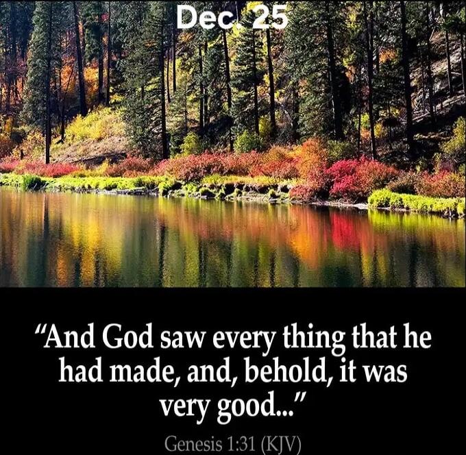 Dec 25

“And God saw every thing that he had made, and, behold, it was very good…”
Genesis 1:31 (KJV)
