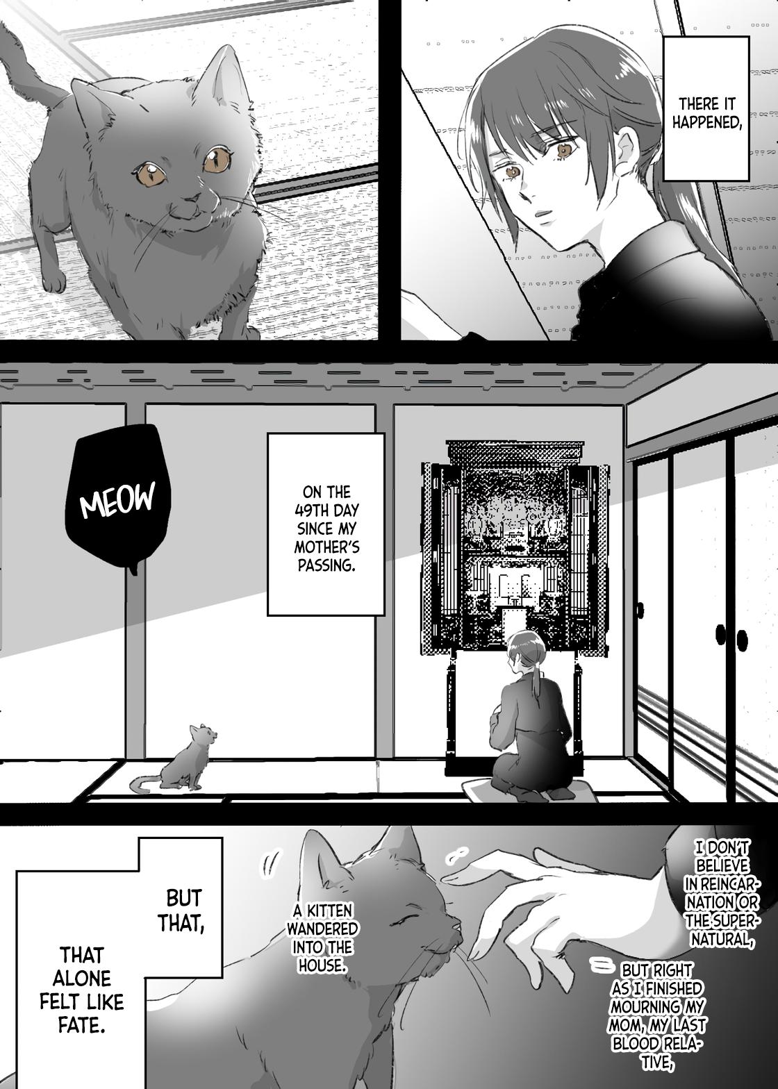 THERE IT HAPPENED ON THE 49TH DAY SINCE MY MOTHERS PASSING BUT A KITTEN THAT WANQERED INTOITHE THAT Hodlse ALONE FELT LIKE FATE