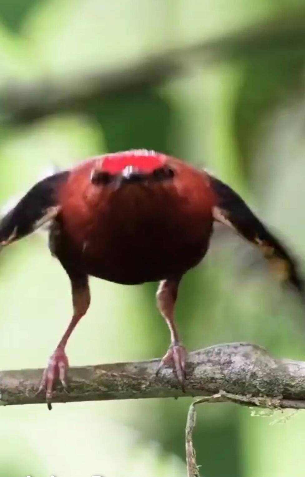 Session ID: 1050926.