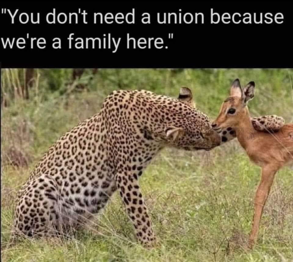 You dont need a union because WECEREINIAEICH