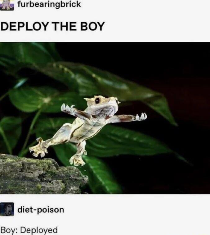 furbearingbrick DEPLOY THE BOY diet poison Boy Deployed