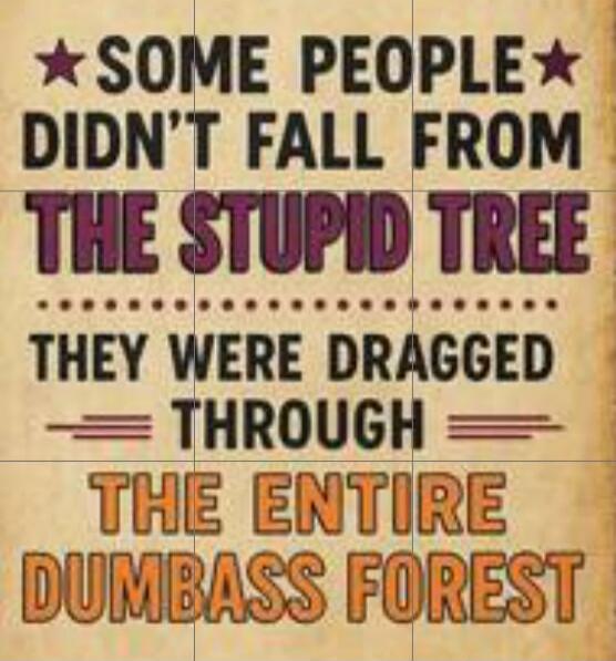 SOME PEOPLE DIDN'T FALL FROM THE STUPID TREE THEY WERE DRAGGED THROUGH THE ENTIRE DUMBASS FOREST