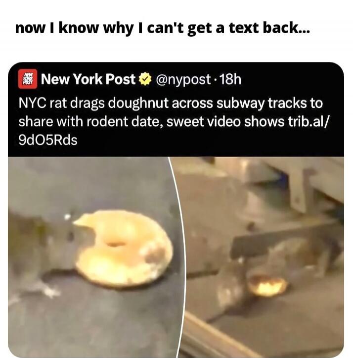 now I know why I can't get a text back... New York Post @nypost · 18h NYC rat drags doughnut across subway tracks to share with rodent date, sweet video shows trib.al/9dO5Rds
