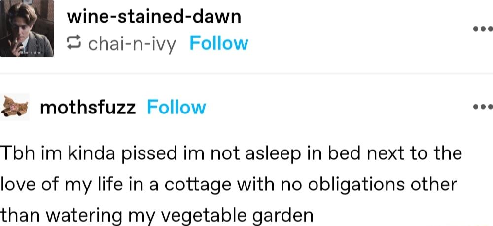 wine stained dawn S chai n ivy Follow mothsfuzz Follow Tbh im kinda pissed im not asleep in bed next to the love of my life in a cottage with no obligations other than watering my vegetable garden