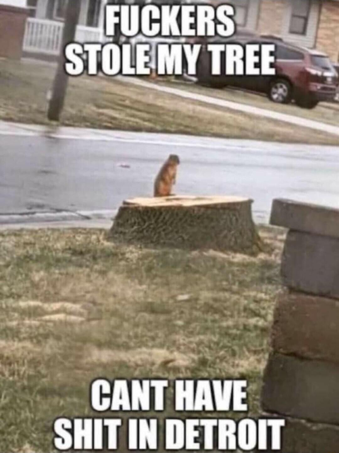 CANT HAVE SHIT IN DETROIT