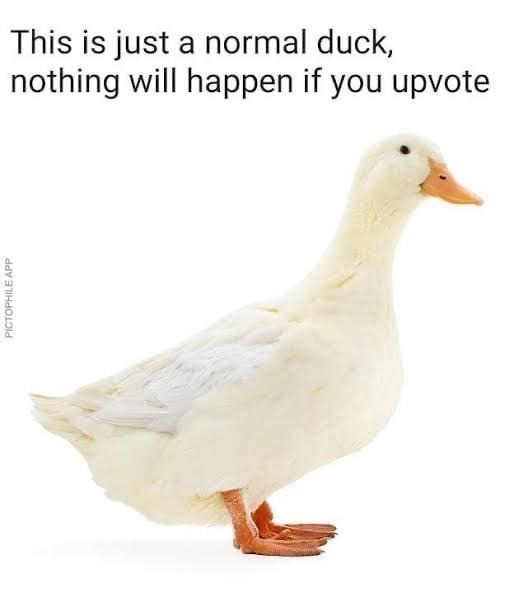 This is just a normal duck nothing will happen if you upvote A