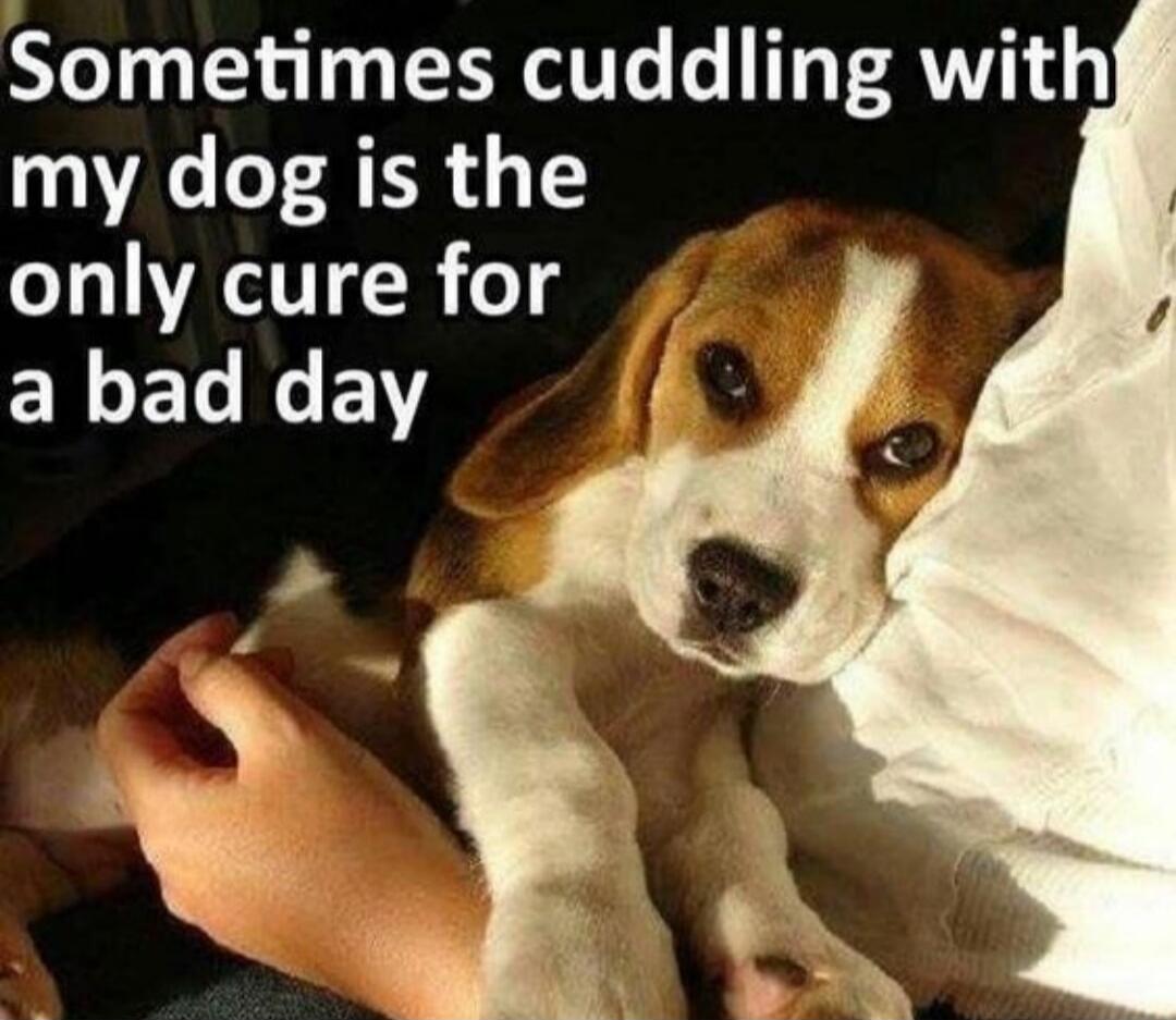 Sometimes cuddling with my dog is the only cure for a bad day
