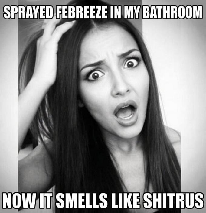 SPRAYED FEBREEZE IN MY BATHROOM NOW IT SMELLS LIKE SHITRUS