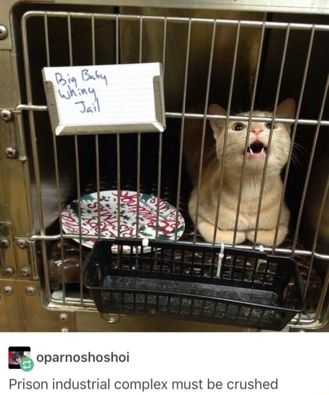 EE oparnoshoshoi Prison industrial comple crushed