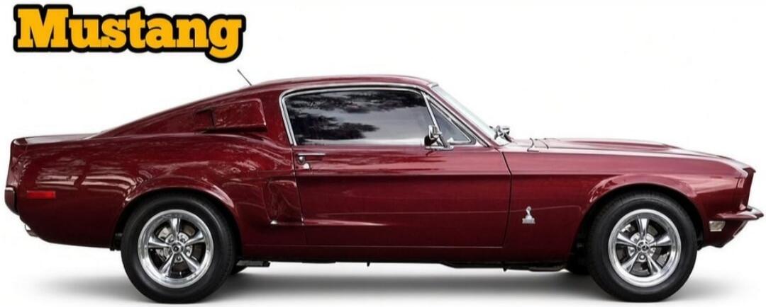 Mustang