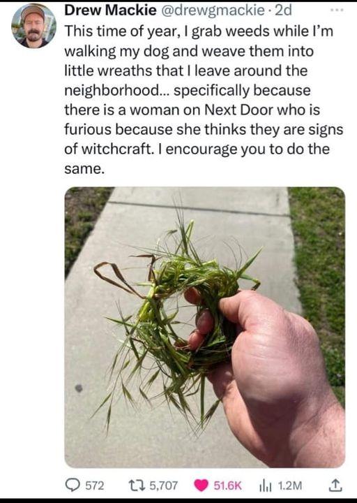 b Drew Mackie drewgmackie 2d This time of year grab weeds while Im walking my dog and weave them into little wreaths that leave around the neighborhood specifically because there is a woman on Next Door who is furious because she thinks they are signs of witchcraft encourage you to do the same 15707 516K 4l 12M 2
