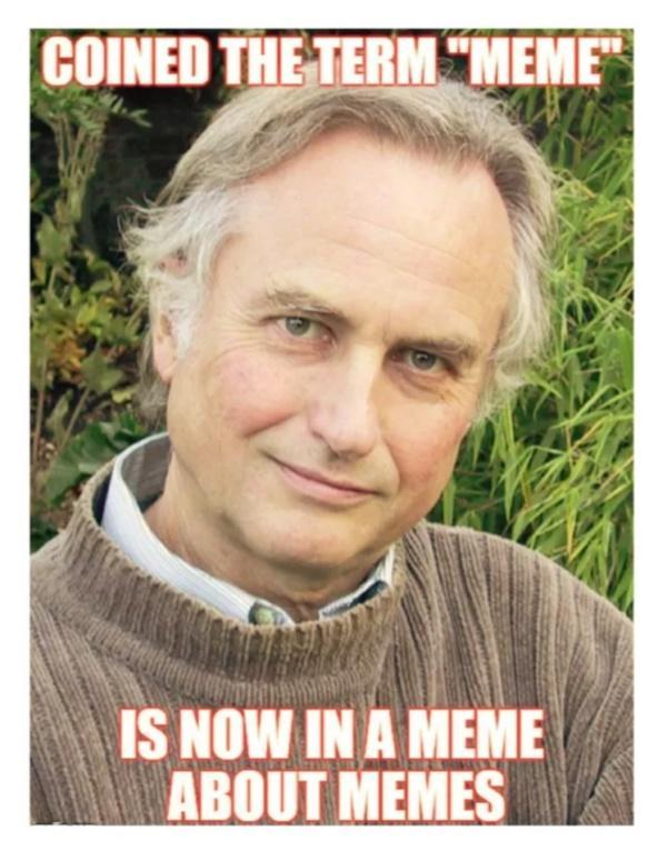Glllliwyl MEME