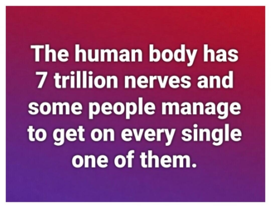 The human body has 7 trillion nerves and some people manage to get on every single one of them.