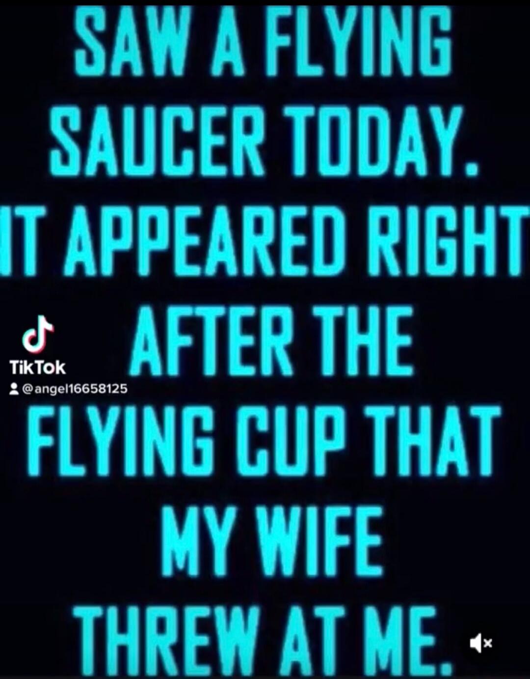 SAW A FLYING SAUCER TODAY. IT APPEARED RIGHT AFTER THE FLYING CUP THAT MY WIFE THREW AT ME.