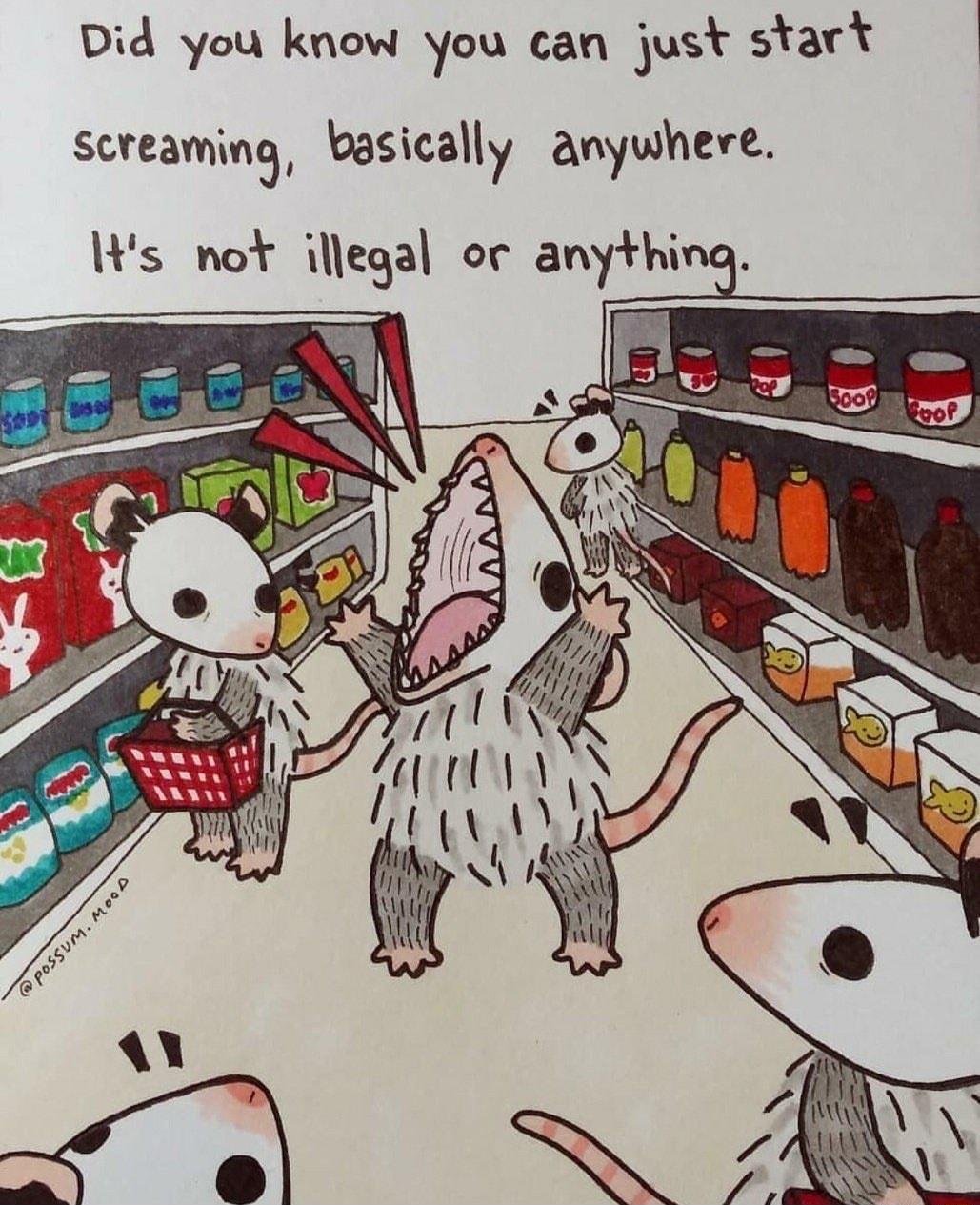 Did you know you can just start screaming basically anywhere Its not illegal or anything