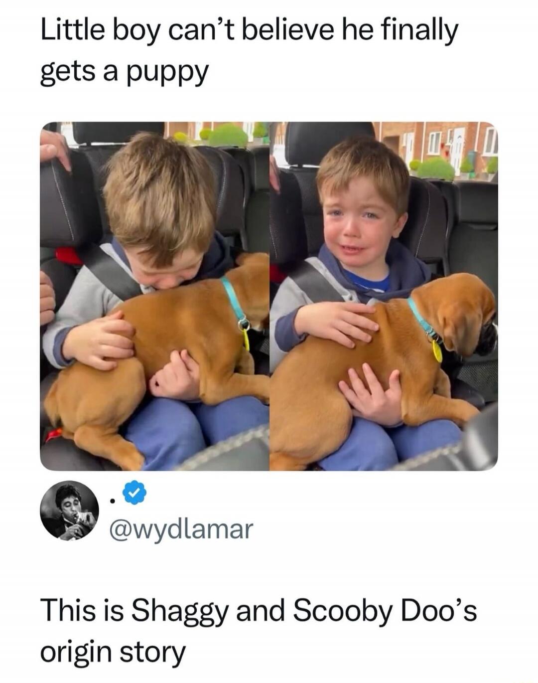 Little boy can’t believe he finally gets a puppy

This is Shaggy and Scooby Doo’s origin story