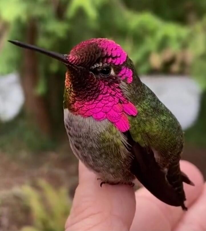 Session ID: 1044893.