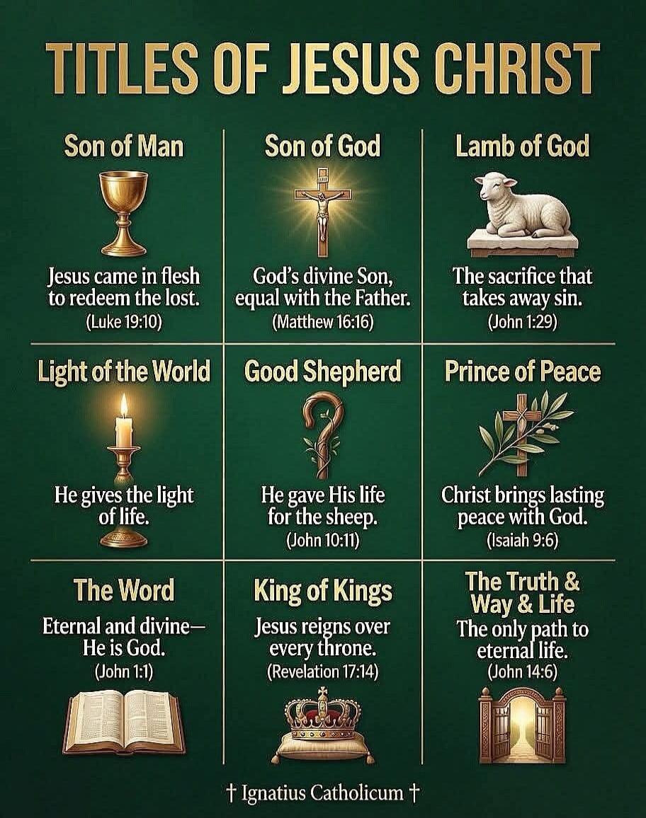 TITLES OF JESUS CHRIST. Son of Man. Jesus came in flesh to redeem the lost. (Luke 19:10). Son of God. God's divine Son, equal with the Father. (Matthew 16:16). Lamb of God. The sacrifice that takes away sin. (John 1:29). Light of the World. He gives the light of life. (John 8:12). Good Shepherd. He gave His life for the sheep. (John 10:11). Prince 