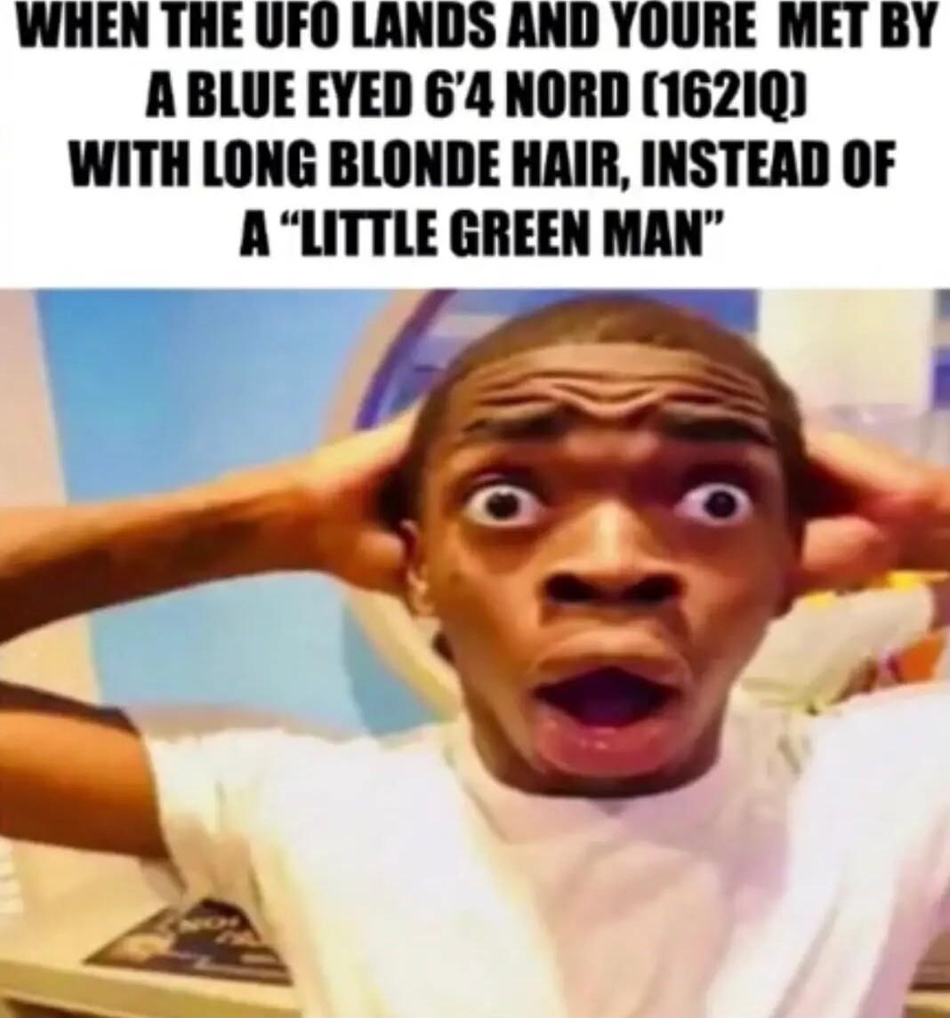 WHEN THE UFO LANDS AND YOURE MET BY A BLUE EYED 64 NORD 16210 WITH LONG BLONDE HAIR INSTEAD OF A LITTLE GREEN MAN